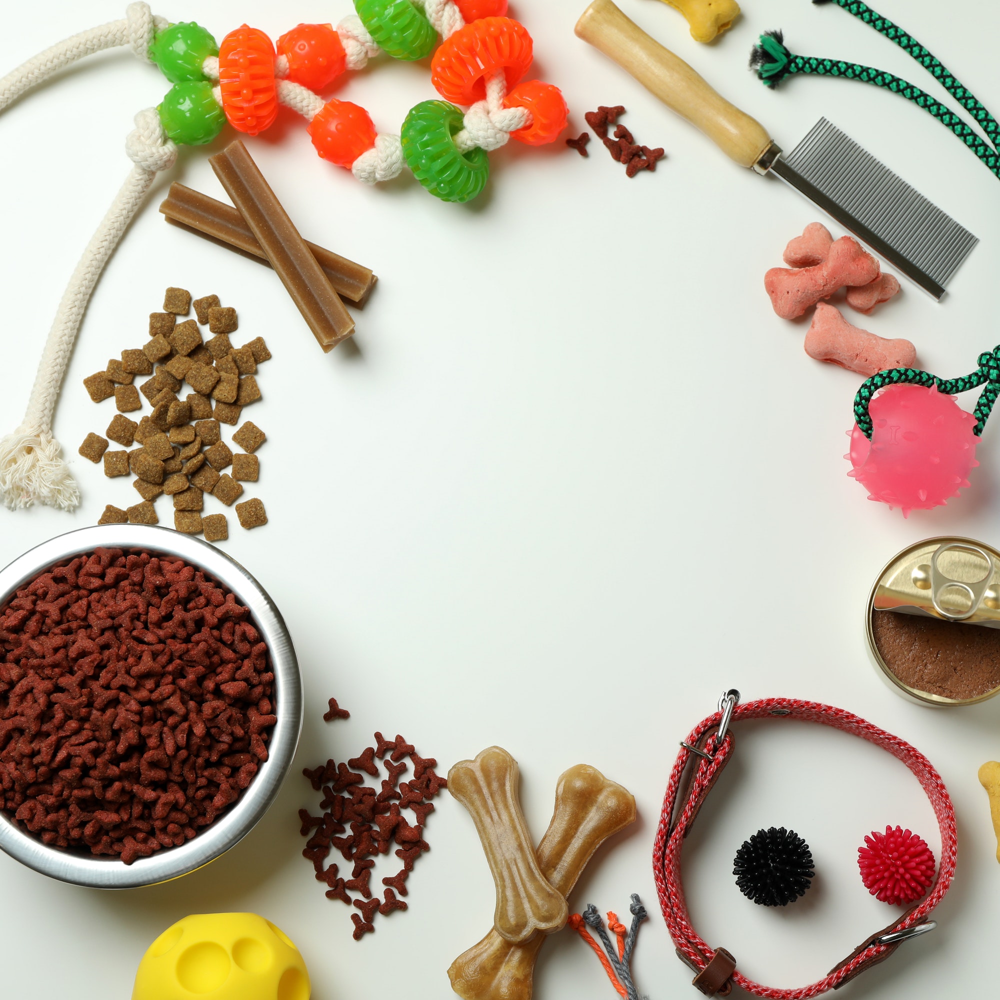 Pet accessories on white background, space for text